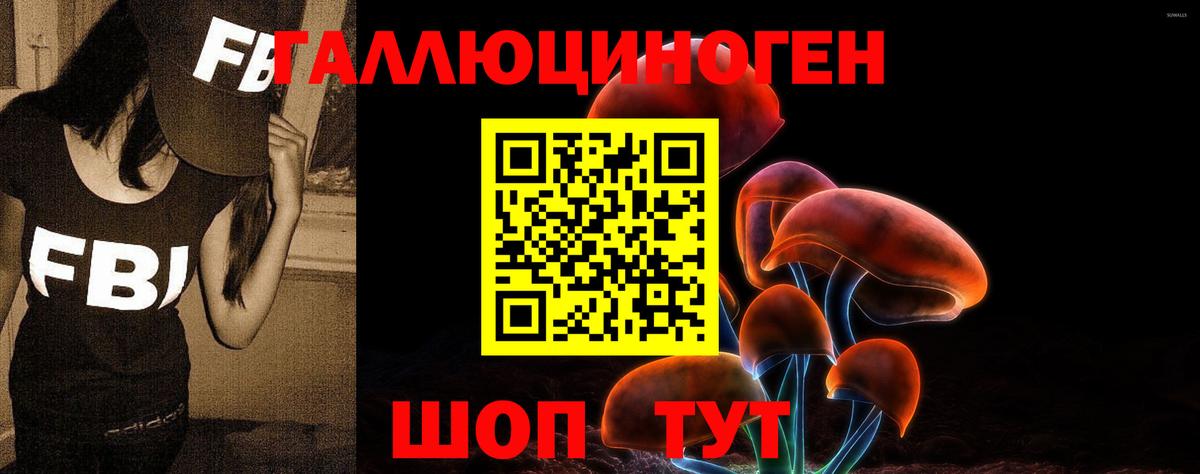 Галлюциногенные грибы прущие грибы Кашира