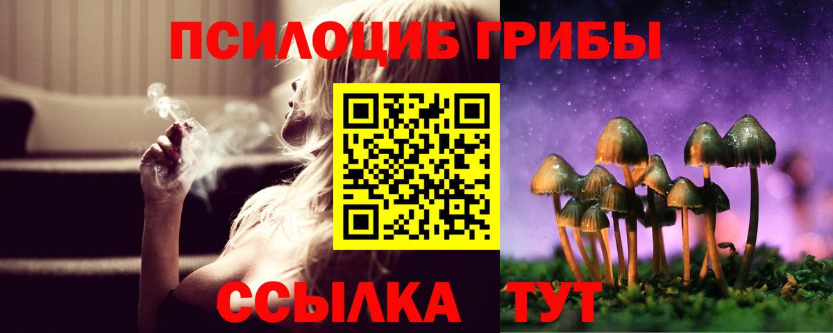 Галлюциногенные грибы Cubensis  Вход с VPN  Галлюциногенные грибы мицелий  Кашира 